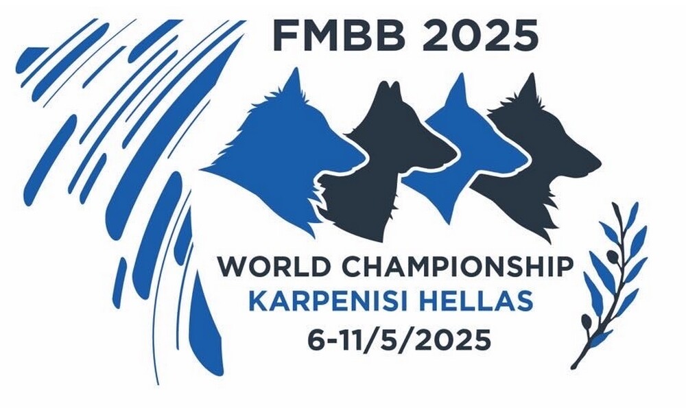 FMBB 2025 results