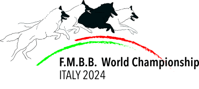 FMBB 2024 results